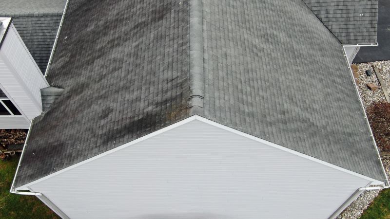 Asphalt Roof Inspection in Joliet, IL