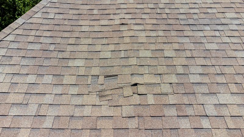 Asphalt Roof Inspection in Palos Park, IL