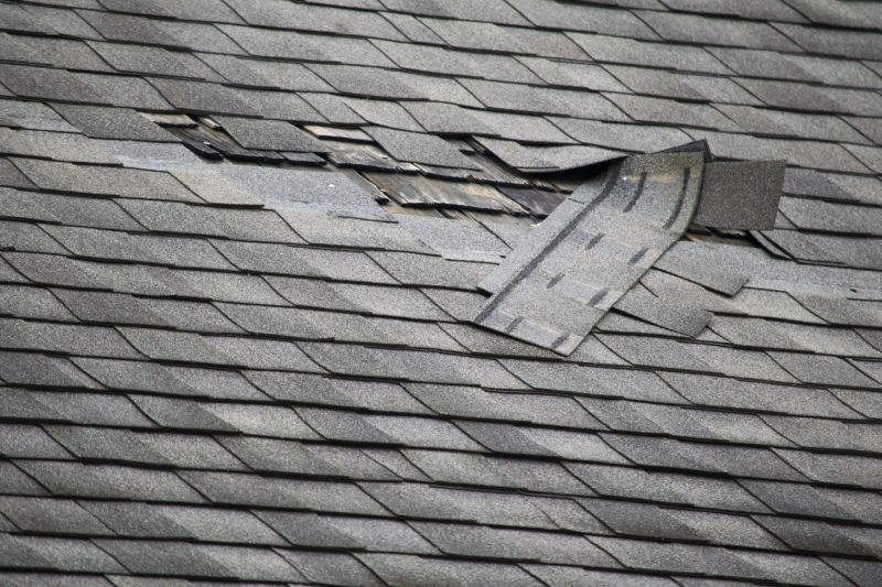Asphalt Roof Leak Repair in Villa Park, IL