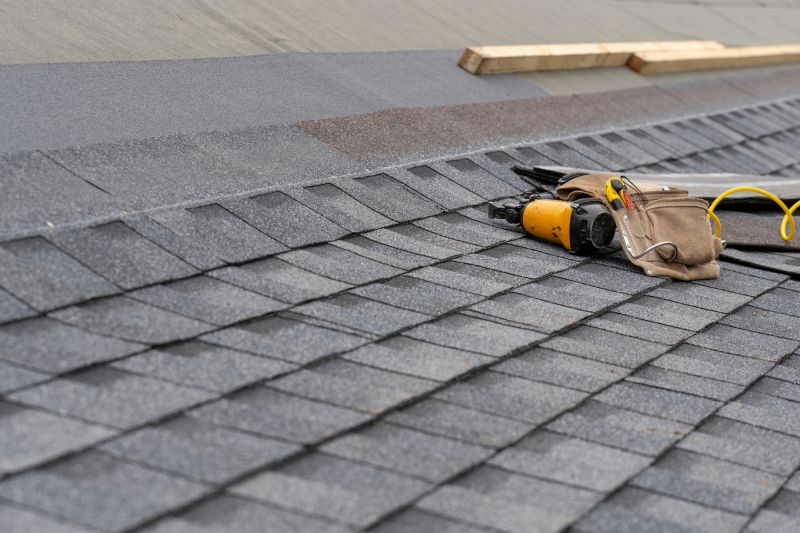 Asphalt Roof Repair in Clarendon Hills, IL