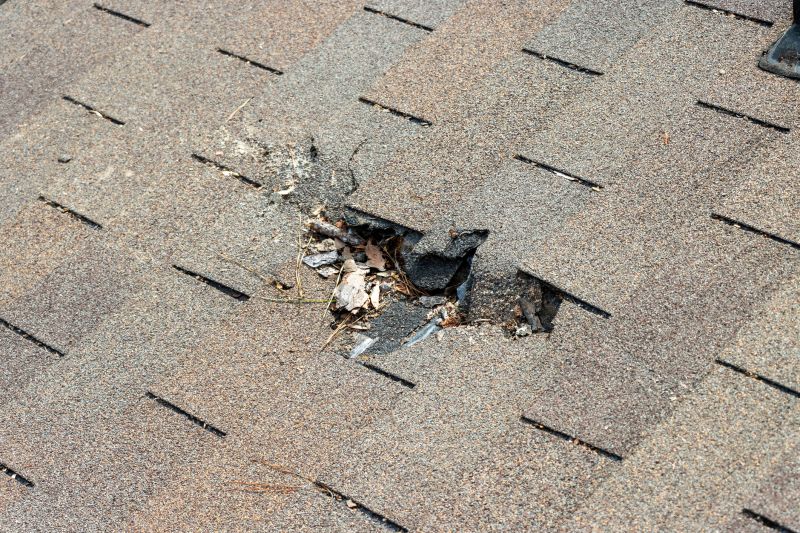 Asphalt Roof Replacement in Downers Grove, IL