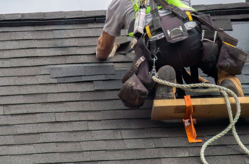 Asphalt Roofing Service in Kane County, IL
