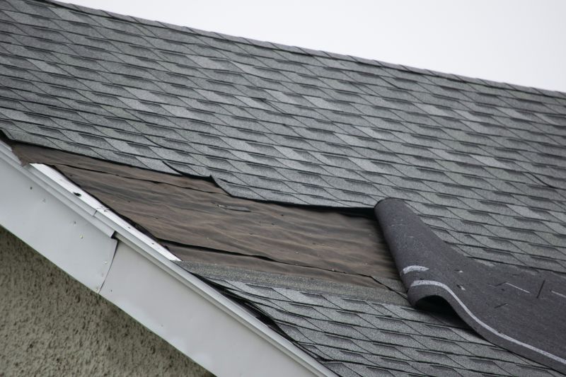 Asphalt Shingles Repair in Bartlett, IL