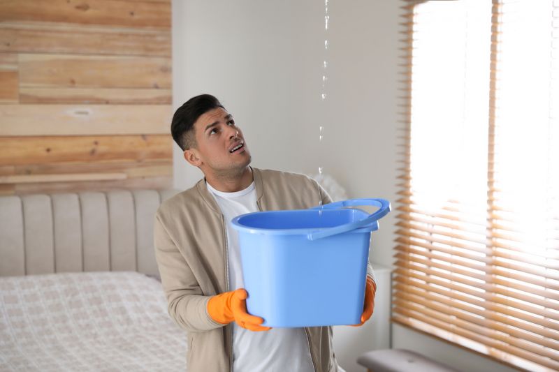 Bedroom Leak Repair in Kane County, IL