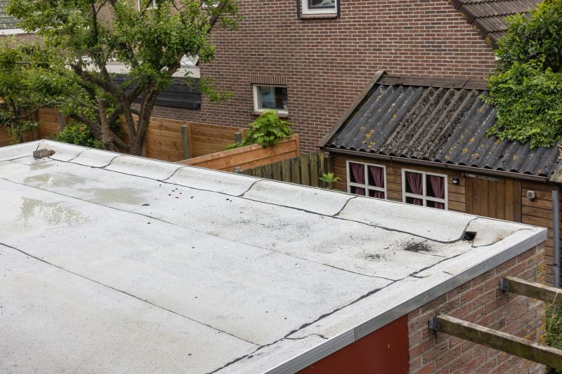 Bitumen Roof Repair in Kane County, IL