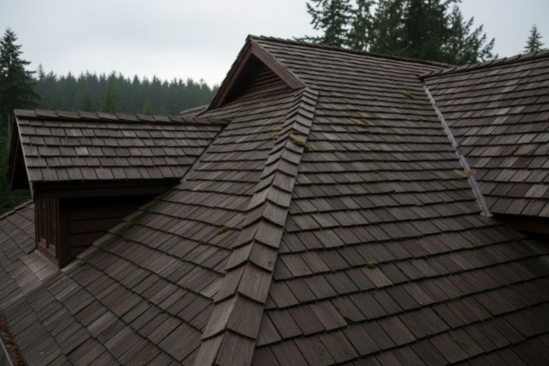Cedar Shake Roof Replacement in Kane County, IL