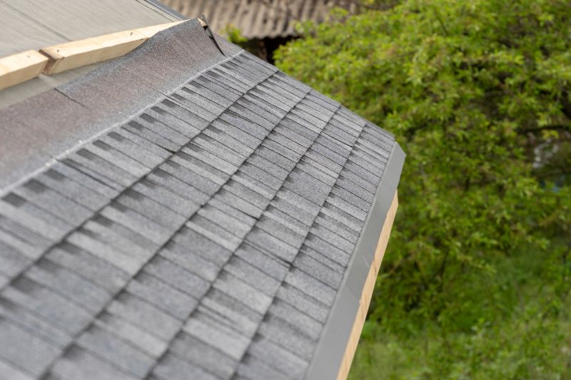 Damaged Roof Repair in Hinsdale, IL