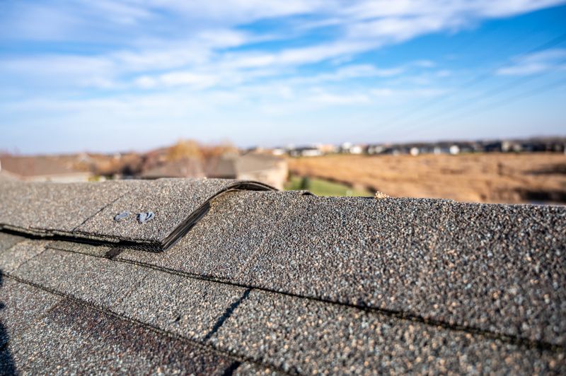 Damaged Roof Repair in Lemont, IL