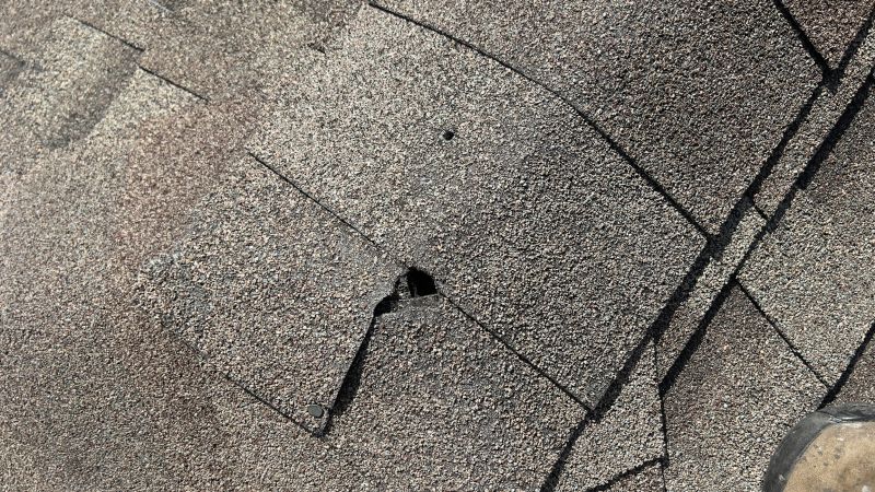 Damaged Roof Repair in Medinah, IL