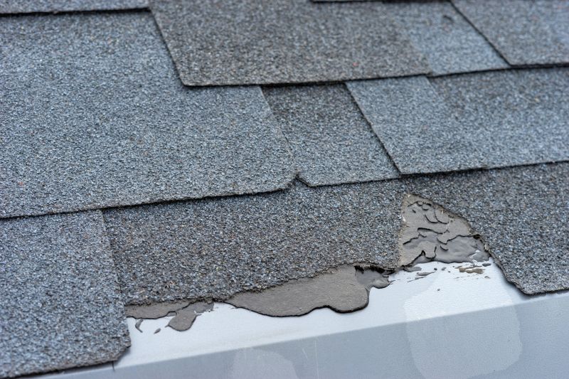 Damaged Roof Repair in Naperville, IL