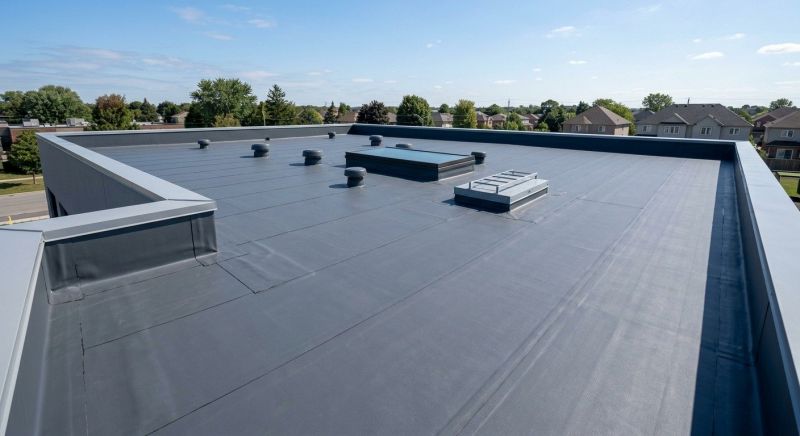 Epdm Roof Sealing in Kane County, IL