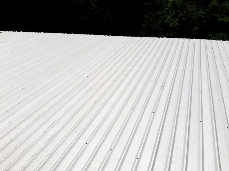 Galvanized Roof Repair in Kane County, IL