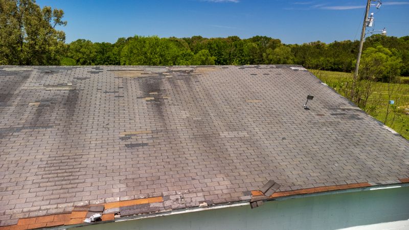 Hail Damage Roof Repair in Dundee, IL
