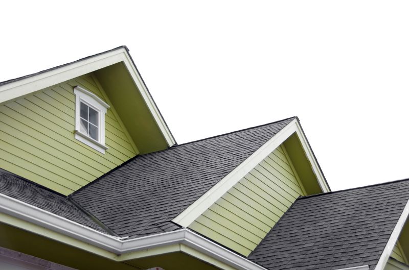 House Roof Repair in Newark, IL