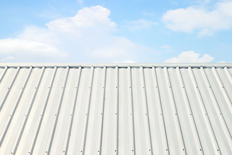 Metal Roof Coating Installation in Kane County, IL
