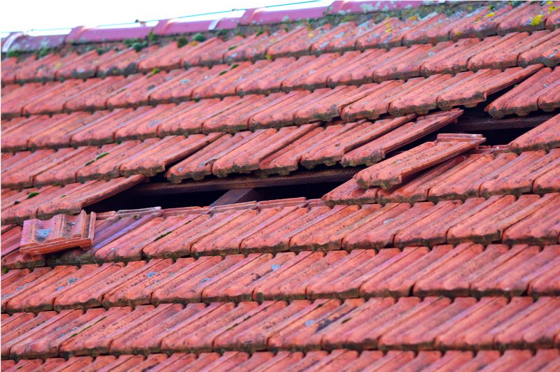 Roof Damage Inspection in Medinah, IL