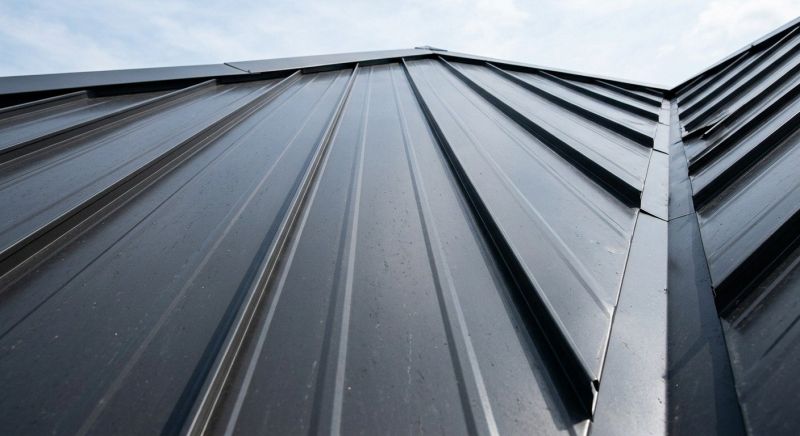 Roof Panel Repair in Kane County, IL