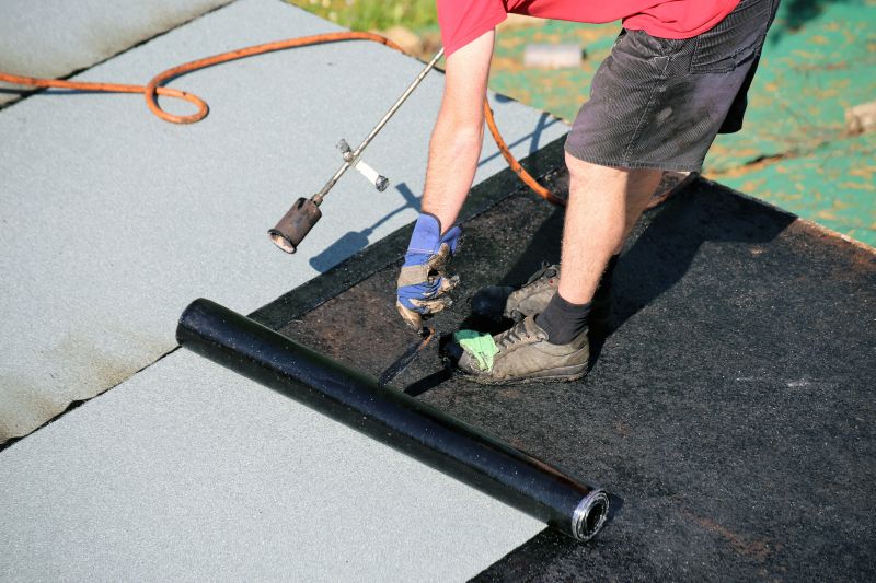 Rubber Roof Waterproofing in Kane County, IL
