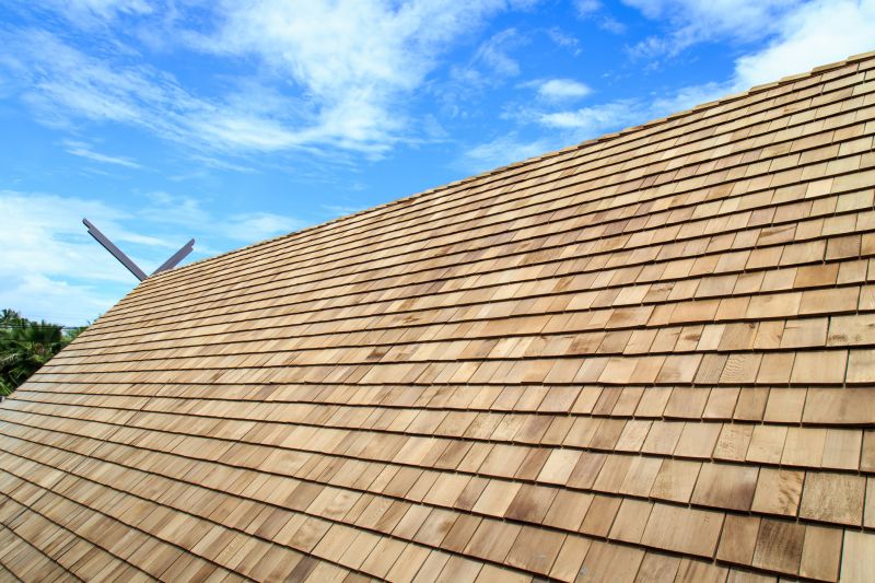 Shake Roof Replacement in Newark, IL