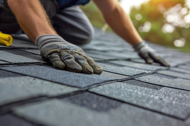 Shingles Repair in Elmhurst, IL