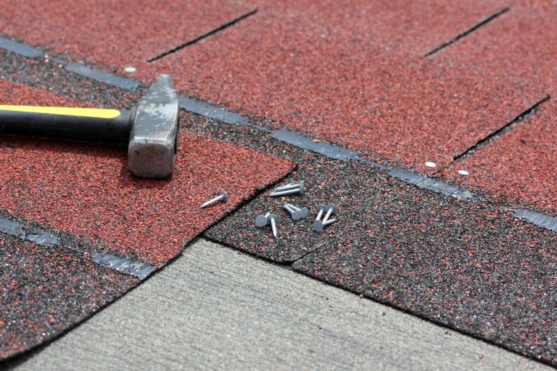 Shingles Repair in Roselle, IL