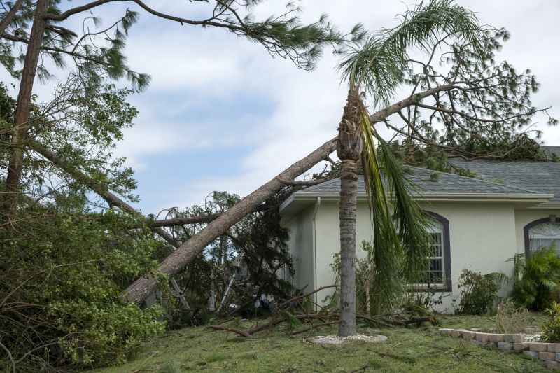 Storm Damage Roof Repair in Melrose Park, IL