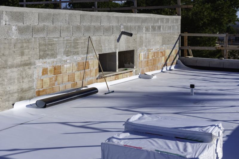 Tpo Roof Installation in Kane County, IL