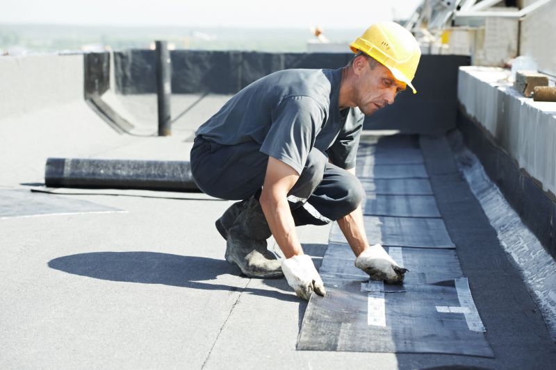 Tpo Roof Repair in Newark, IL